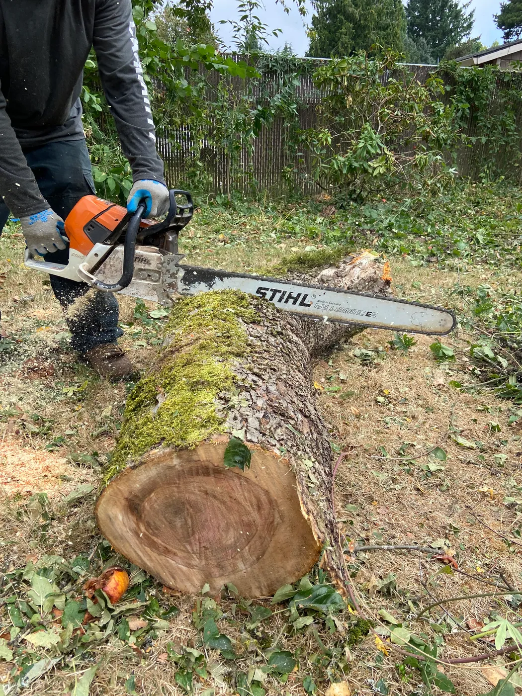 Crew feeding branches into the wood chipper during cleanup