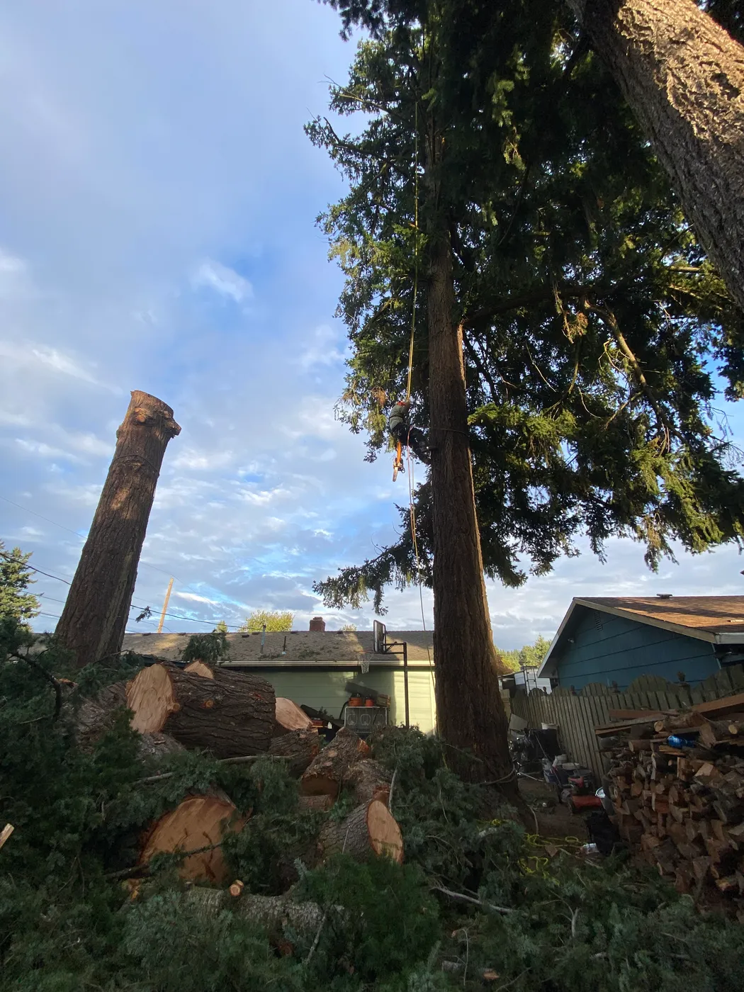 Tree crew clearing storm-downed limbs from a yard