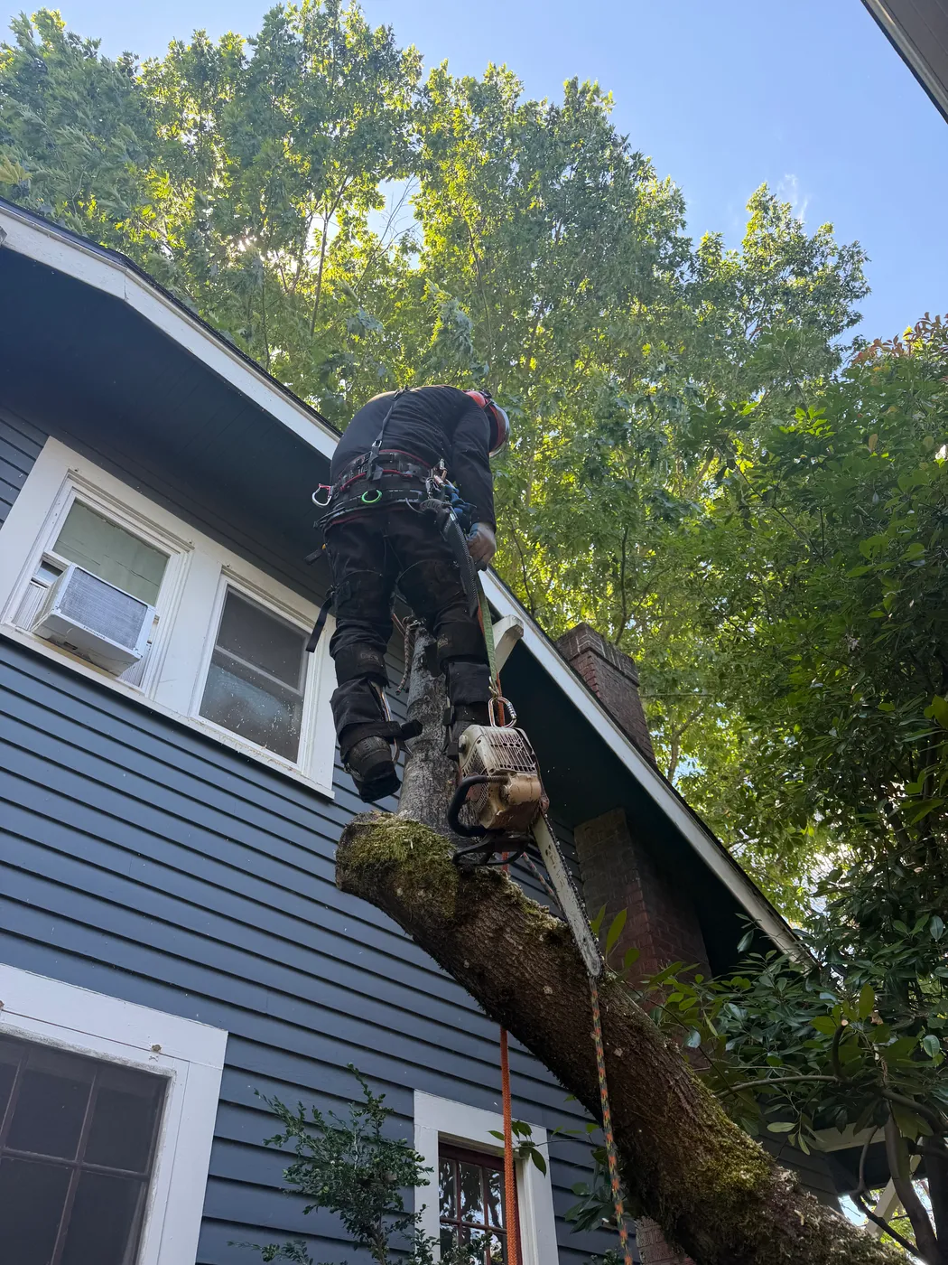 Climber ascending a spar with spikes and harness
